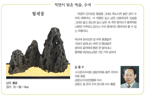 자연이 빚은 예술, 수석