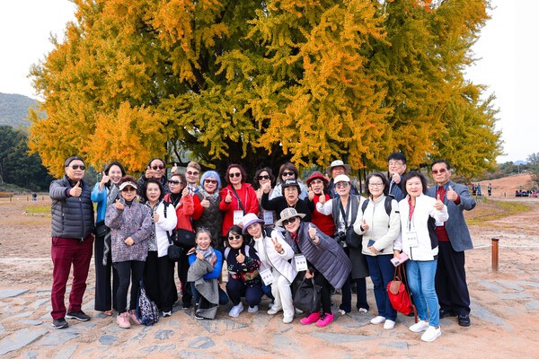 프로그램에 참가한 교민들이 천연기념물인 반계리은행나무를 찾아 단체사진을 찍었다.